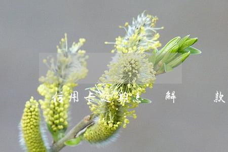 信用卡逾期怎樣解釋還款（信用卡逾期怎樣解釋）
