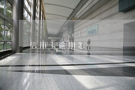 信用卡逾期怎樣計劃還錢(信用卡 記逾期方式)