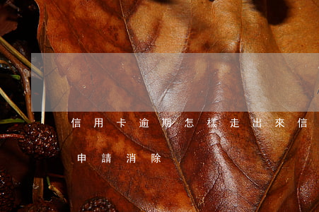 信用卡逾期怎樣走出來(信用卡逾期記錄怎么申請消除)