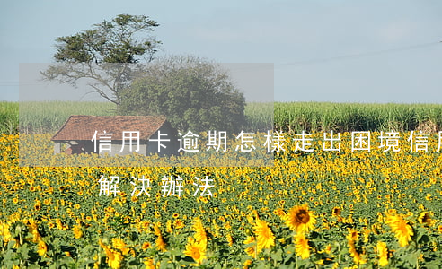 信用卡逾期怎樣走出困境(信用卡逾期最好的解決辦法)