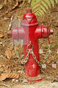 信用卡逾期怎樣跟銀行協(xié)商(信用卡逾期了怎么跟銀行協(xié)商解決)