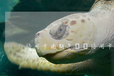 信用卡逾期怎樣還（信用卡逾期怎樣還）