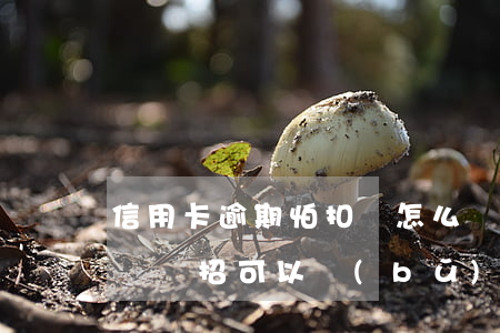 信用卡逾期怕扣錢怎么辦(信用卡逾期?不要慌,這幾招可以補(bǔ)救!)