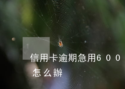 信用卡逾期急用6000 信用卡逾期急用錢怎么辦