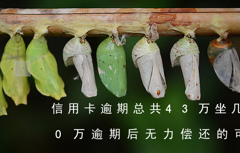信用卡逾期总共43万坐几年牢-信用卡40万逾期后无力偿还的可悲生活