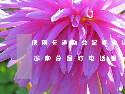 信用卡逾期总是打电话骚扰怎么办-信用卡逾期总是打电话骚扰怎么办啊
