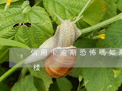 信用卡逾期恐怖嗎 如果說信用卡逾期會怎么樣