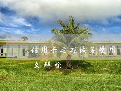 信用卡逾期恢复使用-逾期后信用卡异常多久解除