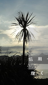 信用卡逾期恢復(fù)最新(信用卡逾期恢復(fù)最新)