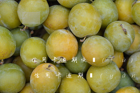 信用卡逾期恢復(fù)正常還最低(低額度信用卡逾期嚴(yán)重嗎)