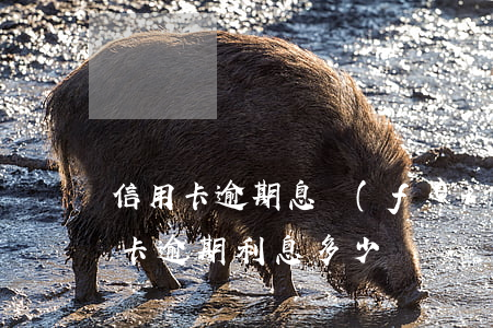 信用卡逾期息費(fèi)怎么收取-信用卡逾期利息多少