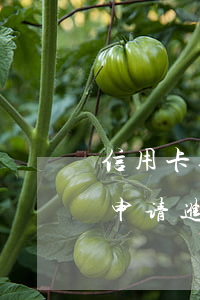 信用卡逾期恶意逃避(信用卡逾期恶意逃避 已申请进行网络公布)