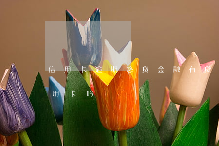 信用卡逾期悠贷金融(有贷款逾期可以申请信用卡吗)