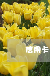 信用卡逾期情况升级 信用卡逾期情况升级中