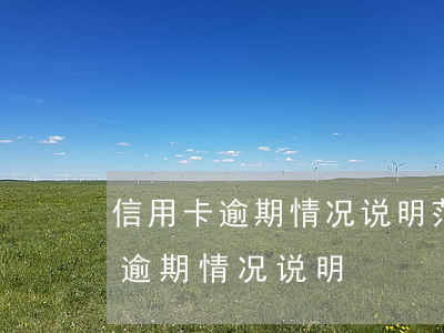信用卡逾期情况说明范本工商(怎么写信用卡逾期情况说明)