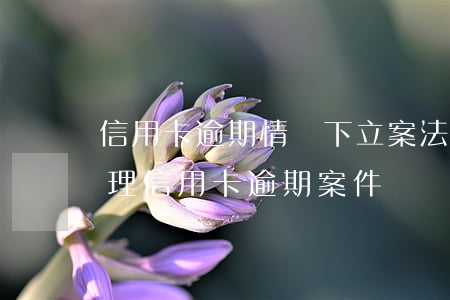 信用卡逾期情況下立案(法院會(huì)受理信用卡逾期案件嗎)