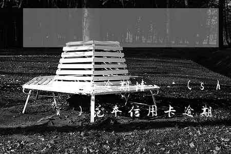 信用卡逾期情況說(shuō)明書(shū)范本(信用卡逾期說(shuō)明怎么寫(xiě))