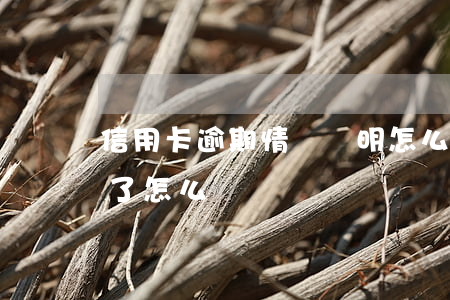 信用卡逾期情況說明怎么填寫(如信用卡逾期了怎么辦)