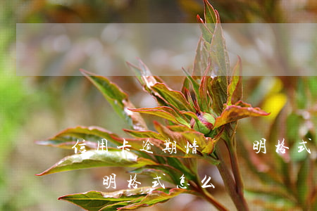 信用卡逾期情況說明格式-信用卡逾期情況說明格式怎么寫
