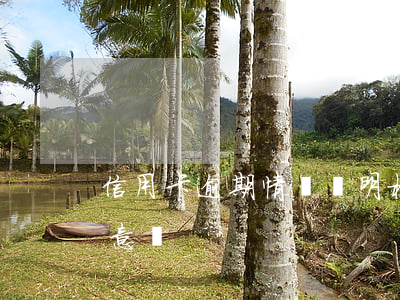 信用卡逾期情況說明格式(信用卡逾期流程示意圖)
