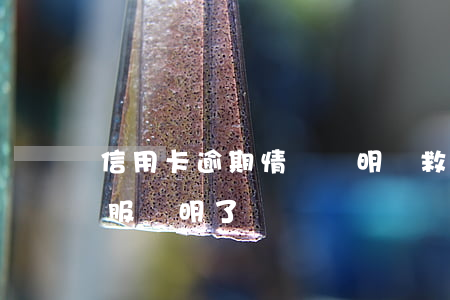 信用卡逾期情況說明補救(信用卡逾期了跟客服說明了)