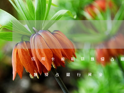 信用卡逾期惡意侵占銀行資金(信用卡逾期惡意侵占銀行資金)