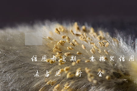 信用卡逾期 惡意拖欠(信用卡逾期惡意拖欠非法占用銀行資金)