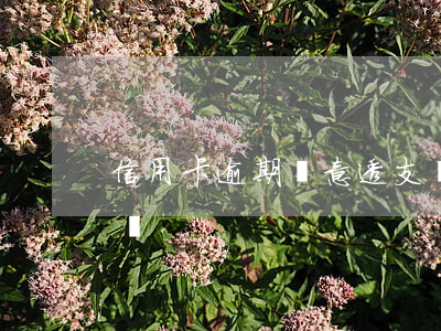 信用卡逾期惡意透支認定(信用卡透支算逾期嗎)