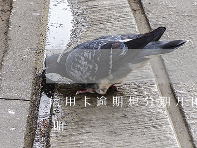 信用卡逾期想分期开困难证明(信用卡 逾期 分期)
