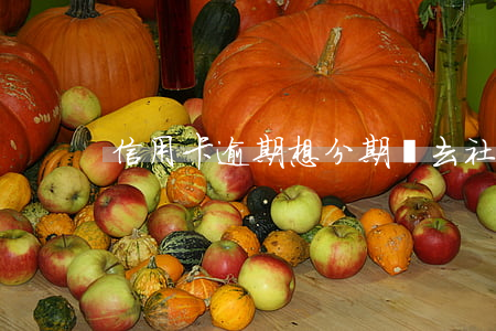 信用卡逾期想分期讓去社區(qū)開