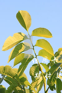 信用卡逾期想在分期付款 貸款逾期了可以分期付款嗎