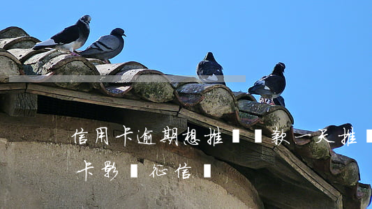 信用卡逾期想推遲還款一天(推遲一天還信用卡影響征信嗎)