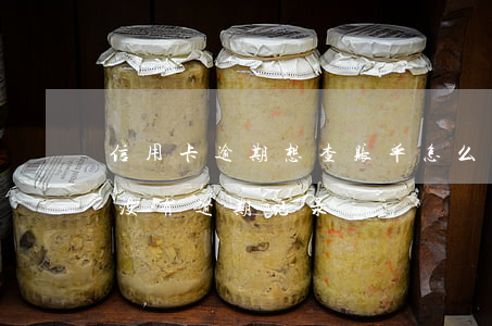 信用卡逾期想查账单怎么办(怎么查信用卡有没有逾期记录)
