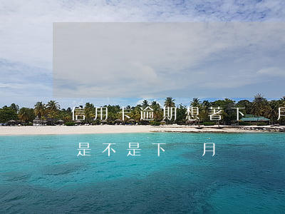 信用卡逾期想著下個月還(這個月用了信用卡是不是下個月還)
