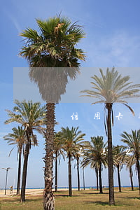 信用卡逾期想贷款怎么办呢(有信用卡逾期没还怎么申请贷款)