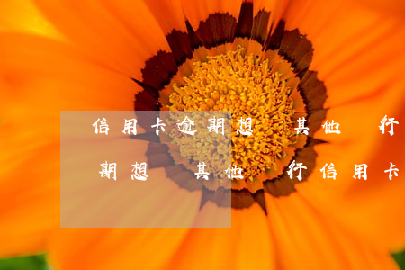 信用卡逾期想辦其他銀行信用卡-信用卡逾期想辦其他銀行信用卡可以嗎