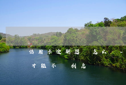 信用卡逾期想還怎么還-還逾期信用卡怎么才能不還利息