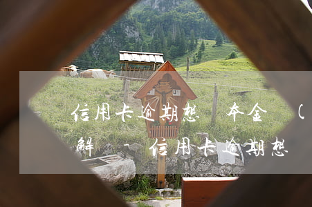 信用卡逾期想還本金應(yīng)該怎么解決-信用卡逾期想還本金應(yīng)該怎么解決呢