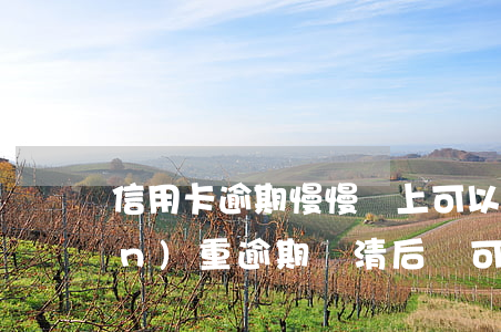 信用卡逾期慢慢還上可以嗎(信用卡嚴(yán)重逾期還清后還可以用嗎)