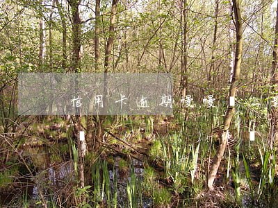 信用卡逾期慢慢還上是老賴嗎(老賴欠款還了會(huì)恢復(fù)信用嗎)