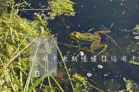 信用卡逾期慢慢還(信用卡逾期慢慢還還有用嗎)
