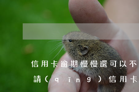信用卡逾期慢慢還可以不 逾期之后就不能申請(qǐng)信用卡了嗎