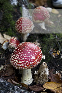 信用卡逾期慢慢還會(huì)黑名單(朋友用我的信用卡逾期進(jìn)黑名單了能告他嗎)