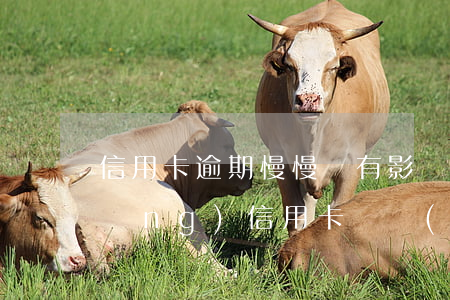 信用卡逾期慢慢還有影響嗎(有逾期申請(qǐng)信用卡還會(huì)批嗎?)