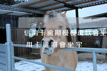 信用卡逾期慢慢還款會坐牢嗎(什么情況下信用卡逾期會坐牢)