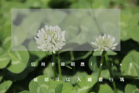 信用卡逾期應(yīng)聘不了(有信用卡逾期可以入職銀行嗎)