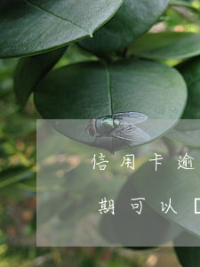 信用卡逾期應(yīng)聘銀行 征信有逾期可以應(yīng)聘銀行工作么