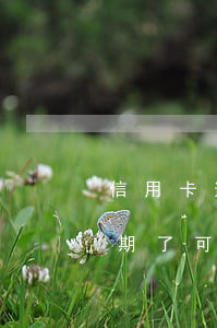 信用卡逾期應(yīng)該去哪里求助(逾期了可以申請信用卡嗎)