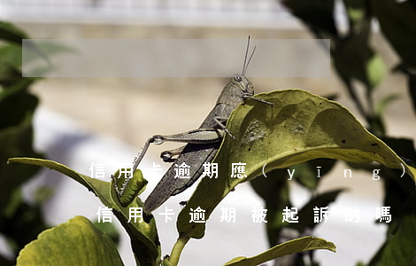 信用卡逾期應(yīng)該在哪里起訴(有信用卡逾期被起訴的嗎)