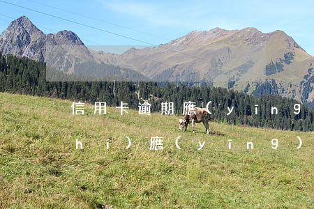 信用卡逾期應(yīng)該如何及時(shí)應(yīng)對(duì)處理-信用卡 逾期了怎么辦